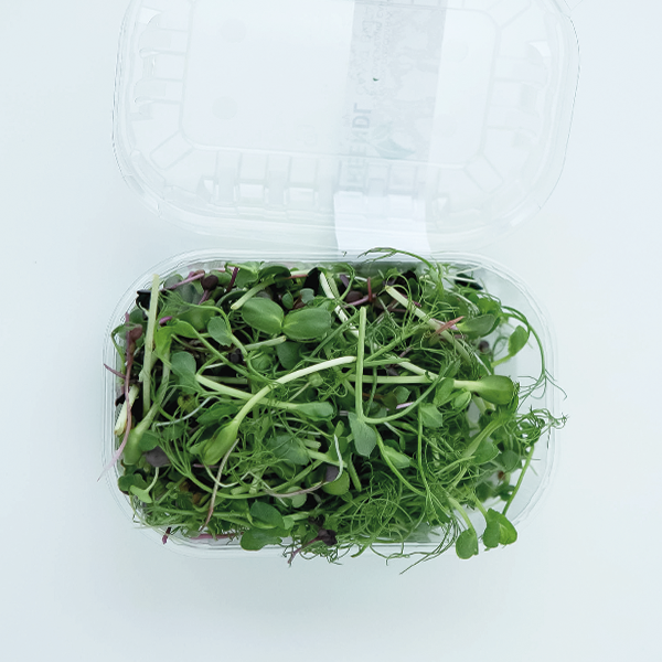 Микрозелень Салат витаминный (MIX) ТМ Greendl (срез)