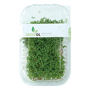 Микрозелень Кресс-салат ТМ Greendl (растущая)